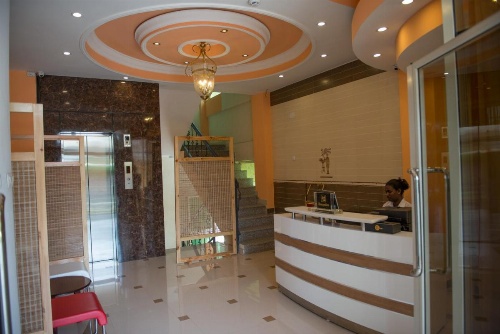 C Fun Addis Hotel image 49
